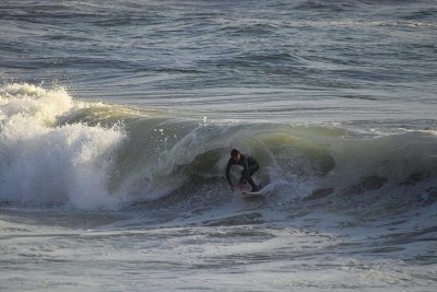 IMG23986.jpg