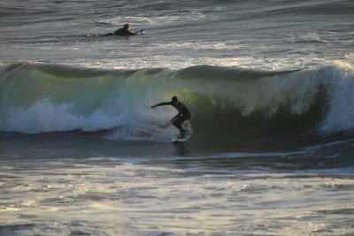 IMG23992.jpg