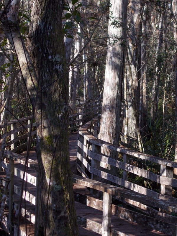Boardwalk