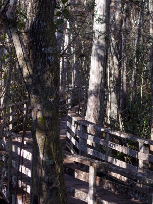 Boardwalk