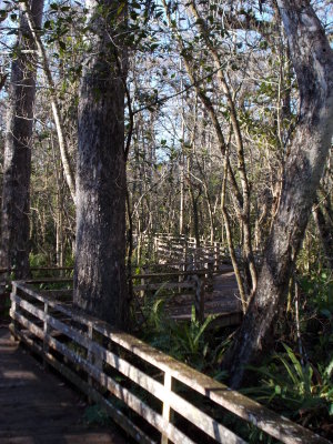 Boardwalk