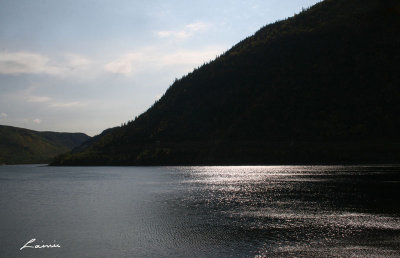 silvery lake 0471
