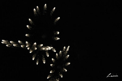 fireworks 4