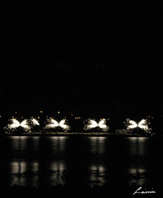 fireworks 17
