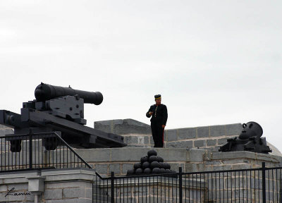 Fort Henry guard -  2