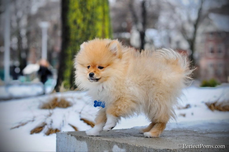 Feb28_13_263a.jpg