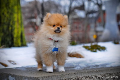 Feb28_13_265a.jpg