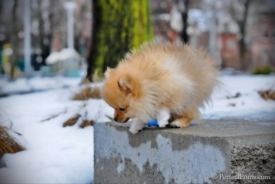 Feb28_13_272a.jpg