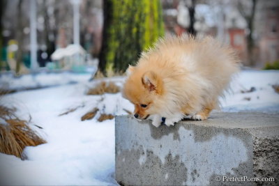 Feb28_13_273a.jpg