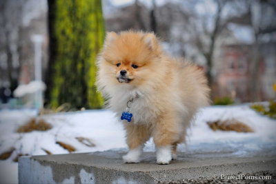 Feb28_13_280a.jpg