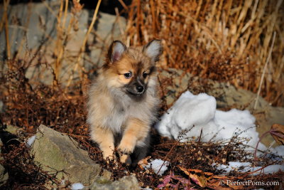 Mar1_13_205.jpg