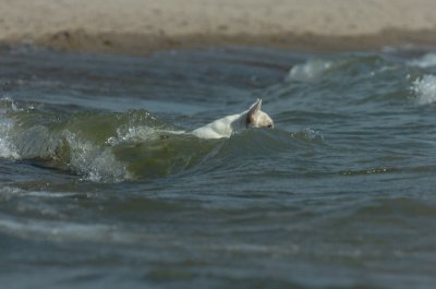 Aug17_06_865.JPG