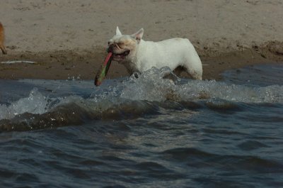 Aug17_06_883.JPG