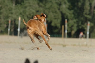 Aug17_06_340.JPG