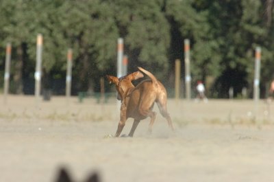 Aug17_06_342.JPG