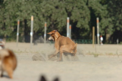 Aug17_06_343.JPG