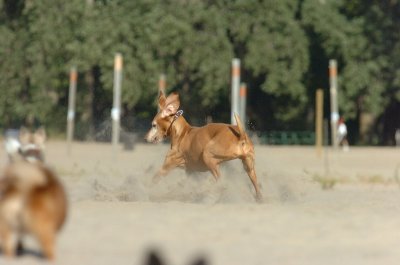 Aug17_06_344.JPG