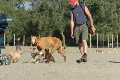 Aug17_06_351.JPG