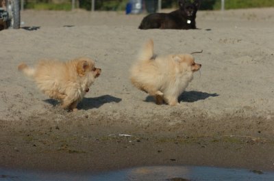 Aug17_06_378.JPG