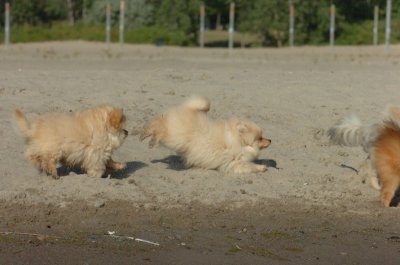 Aug17_06_380.JPG