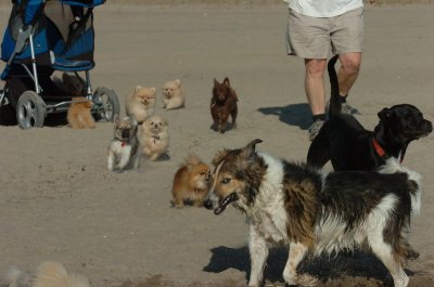 Aug17_06_385.JPG