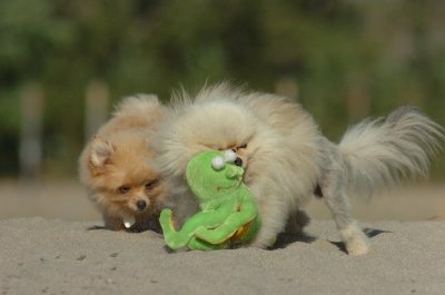 Aug17_06_399.JPG