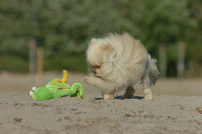 Aug17_06_407.JPG