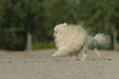 Aug17_06_414.JPG