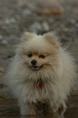 Aug18_06_362.JPG