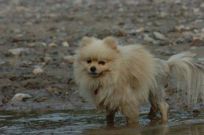 Aug18_06_368.JPG