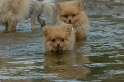 Aug18_06_371.JPG