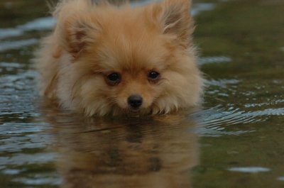 Aug18_06_374.JPG
