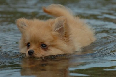 Aug18_06_379.JPG
