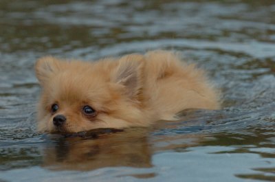Aug18_06_380.JPG