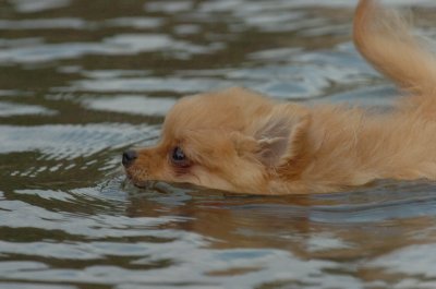 Aug18_06_381.JPG