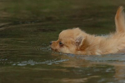 Aug18_06_382.JPG
