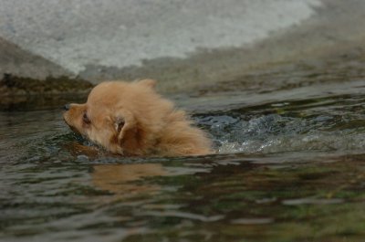 Aug18_06_396.JPG