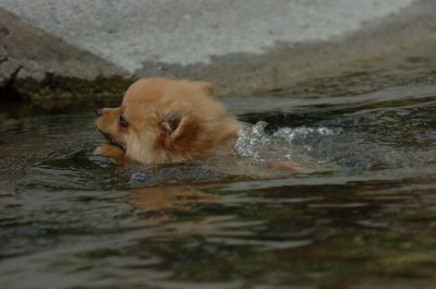 Aug18_06_397.JPG