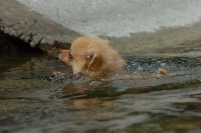 Aug18_06_398.JPG