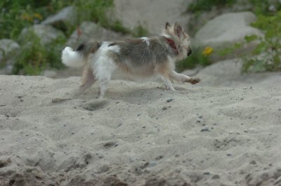 Aug18_06_404.JPG
