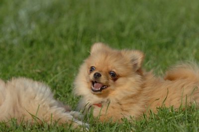 Aug21_06_208.JPG