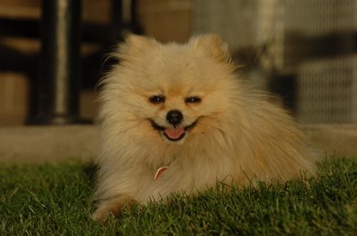 Aug21_06_257.JPG