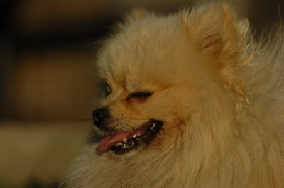 Aug21_06_258.JPG