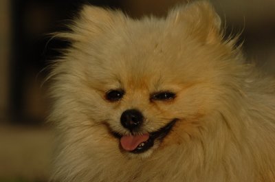 Aug21_06_259.JPG