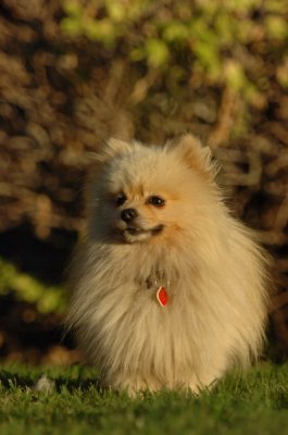 Aug21_06_269.JPG