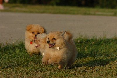 Aug24_06_018.JPG