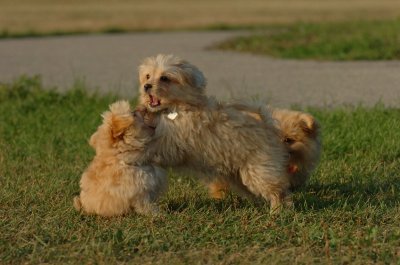 Aug24_06_022.jpg