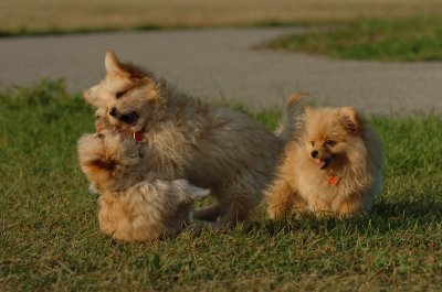 Aug24_06_023.JPG