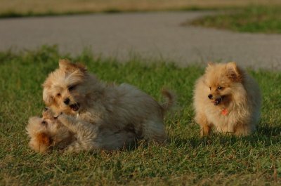 Aug24_06_024.JPG