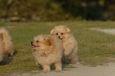 Aug24_06_028.JPG